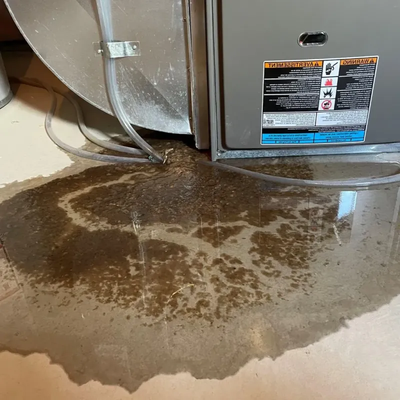 Pipe Burst and Leak Restoration in Mount Gilead, NC