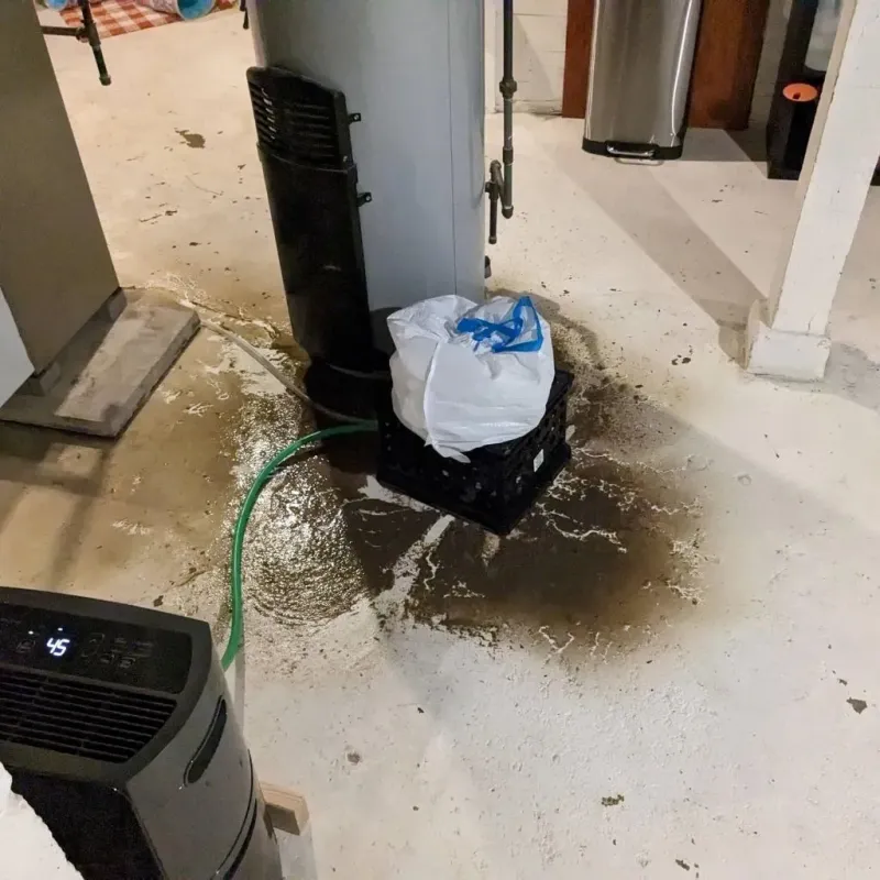 Sewage Backup Cleanup Service in Mount Gilead, NC